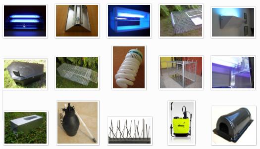 Home Page Image